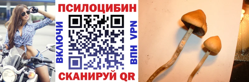 Псилоцибиновые грибы MAGIC MUSHROOMS Почеп